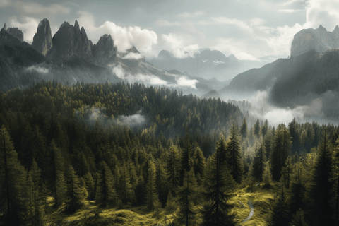From Forests to Bottles: The Best Woodsy Fragrances