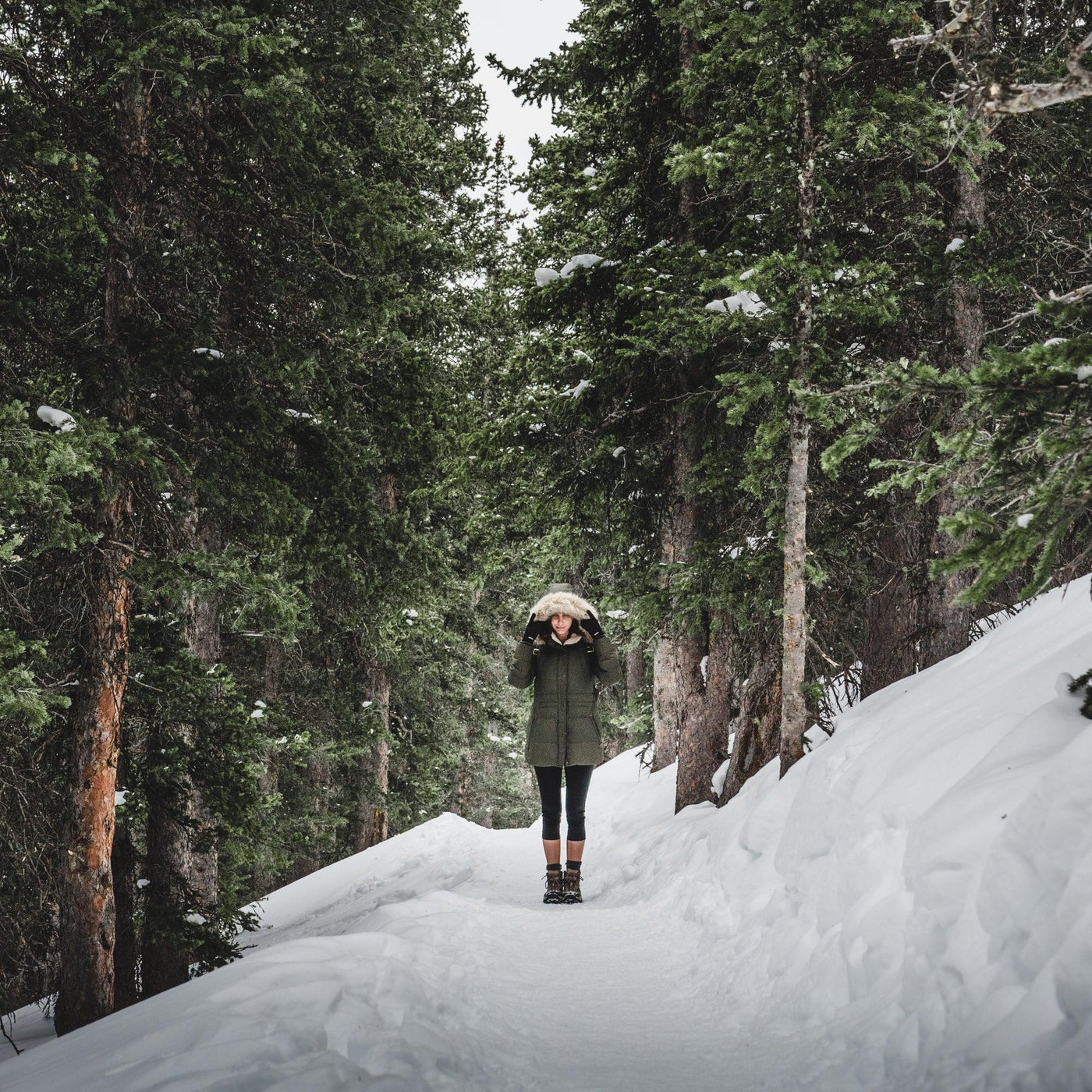 What is Forest Bathing?