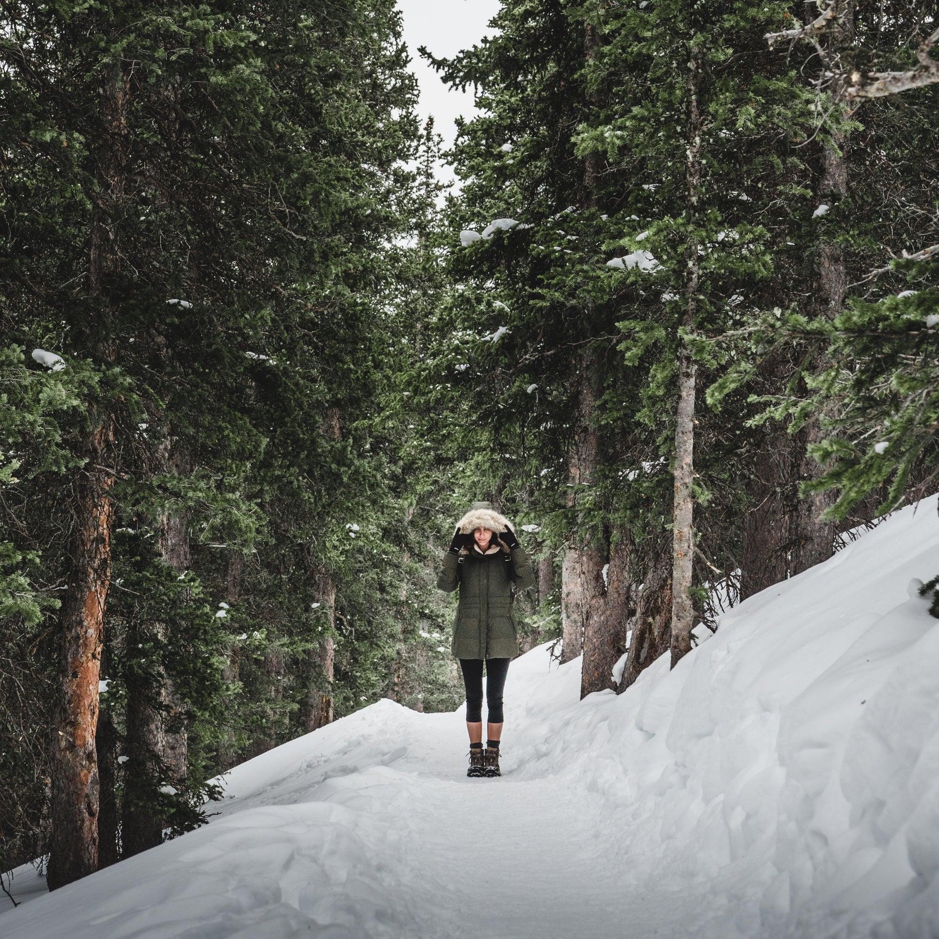 What is Forest Bathing?