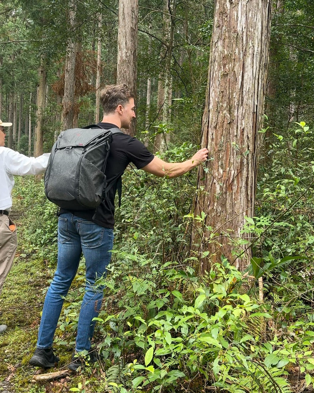 Finding Calm Between the City and the Forest