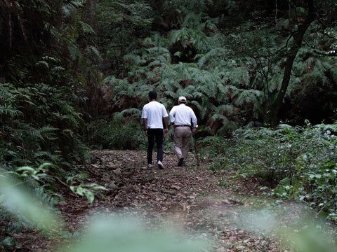 From Forest to Calm: How I Found the Scent That Instantly Resets the Mind