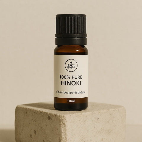Olfactory Pathways to Relaxation: Connecting Hinoki’s Scent to Brain Relaxation Centers