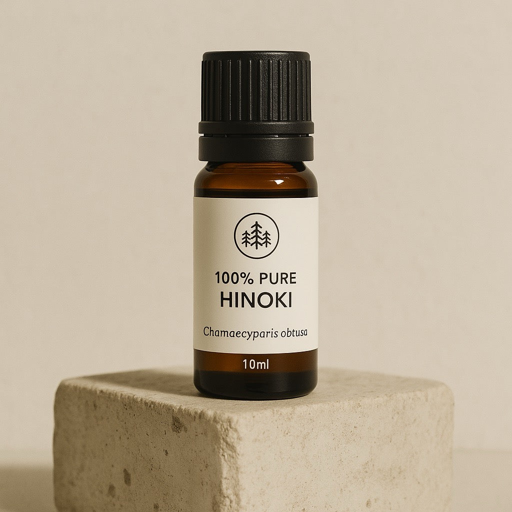 Olfactory Pathways to Relaxation: Connecting Hinoki’s Scent to Brain Relaxation Centers