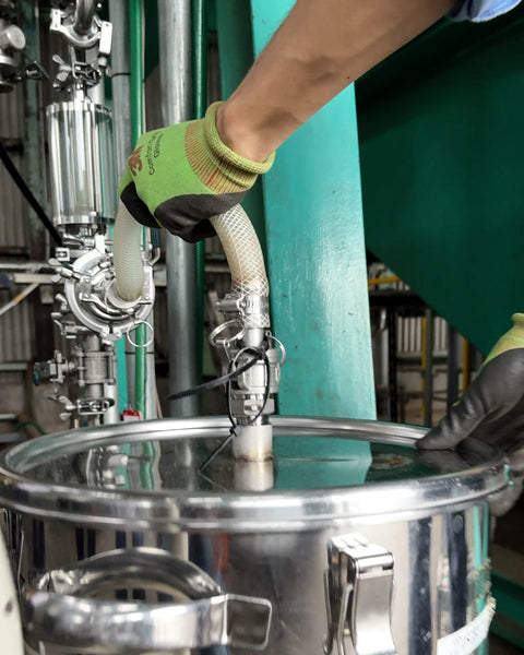 The Science of Calm: Breaking Down the Chemistry of Hinoki