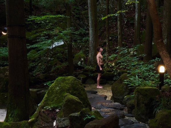 Why Looking at Nature's Patterns Calms Your Brain