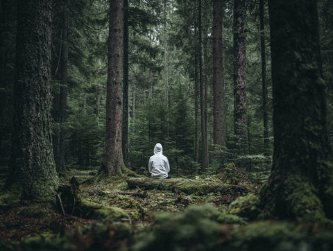 Why Forests Feel Different (And How to Bring That Home)