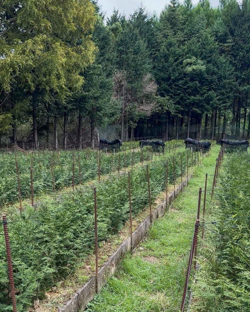 Sustainability