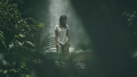 Forest Calm, Anywhere