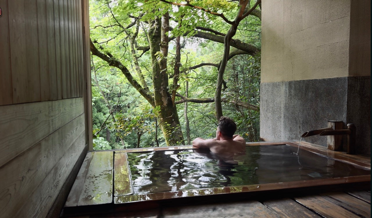 Hinoki forest in Japan